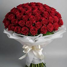 Букет 101 Красная роза Блэк Мэджик #REPLACE_PRED# Савельевской