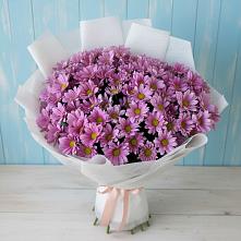 Букет цветов из:  Хризантемы #REPLACE_PRED# Савельевской