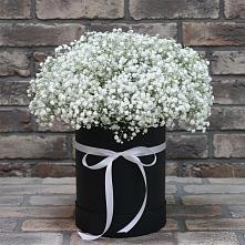 Цветочная композиция из Гипсофила в шляпной коробке #REPLACE_PRED# Савельевской
