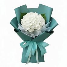 Букет цветов из:  Гортензия #REPLACE_PRED# Савельевской
